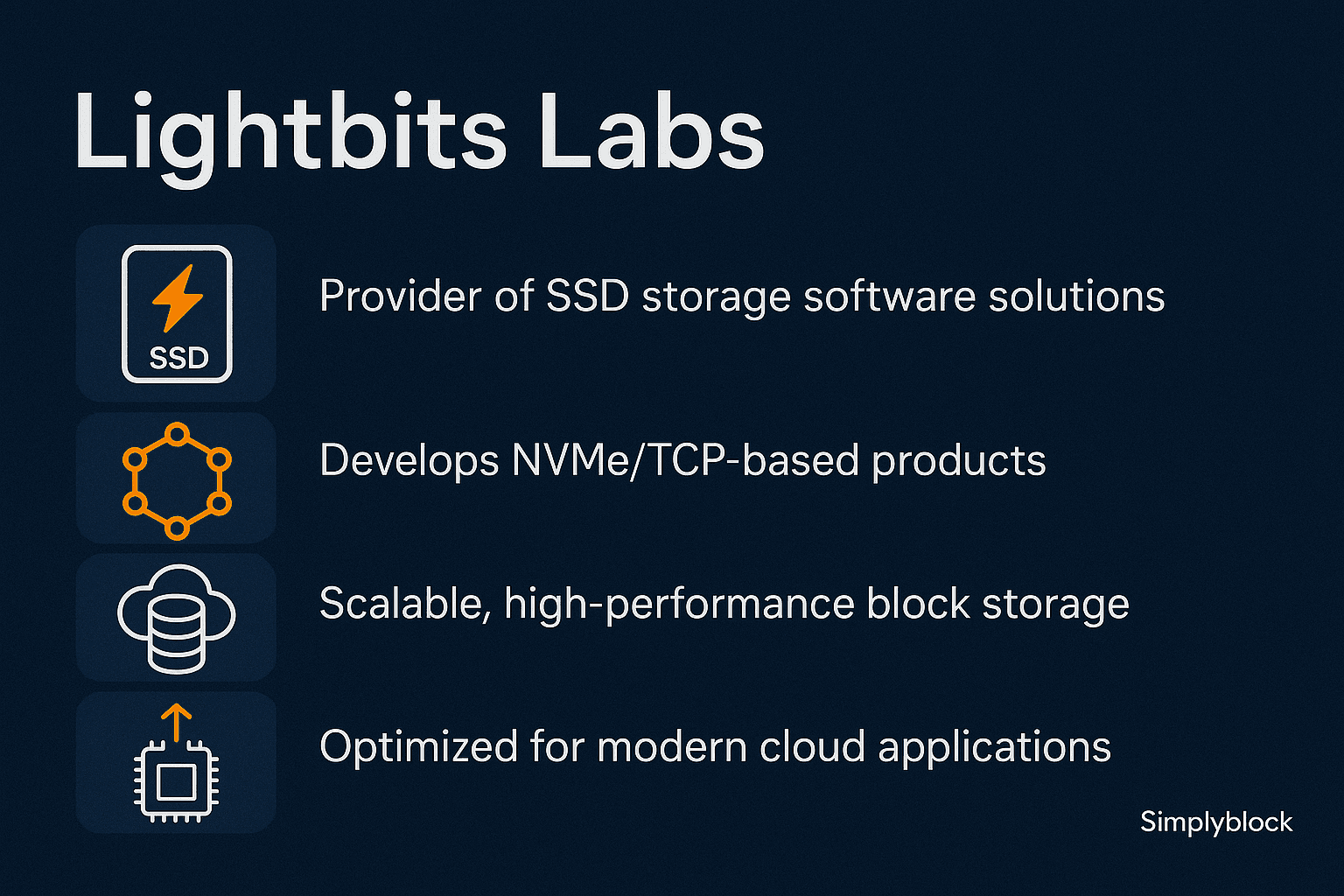 Lightbits Labs infographics