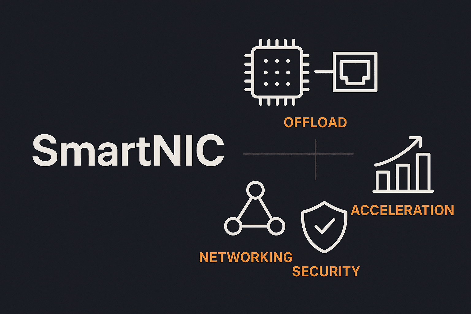 SmartNIC infographics